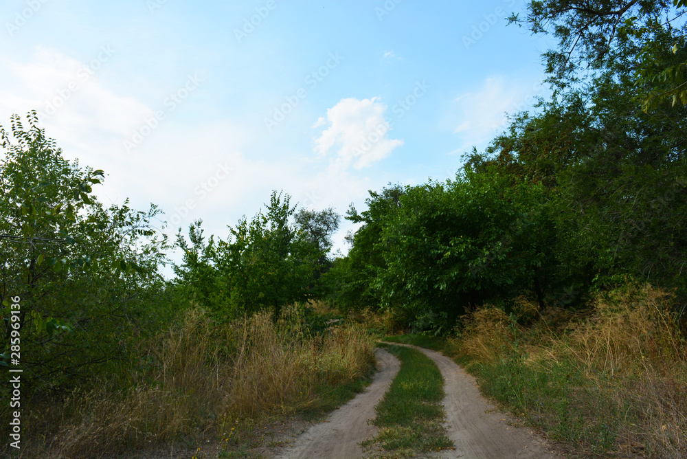 Beautiful natural background with an unusual landscape and forest beauty near the Samara River. Green hills, trees, shrubs with bright sky in the Shevchenko housing estate, Dnipro city, Ukraine.