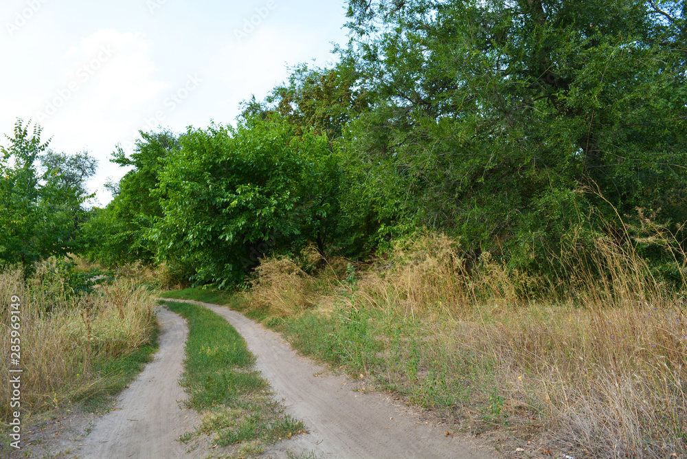 Beautiful natural background with an unusual landscape and forest beauty near the Samara River. Green hills, trees, shrubs with bright sky in the Shevchenko housing estate, Dnipro city, Ukraine.