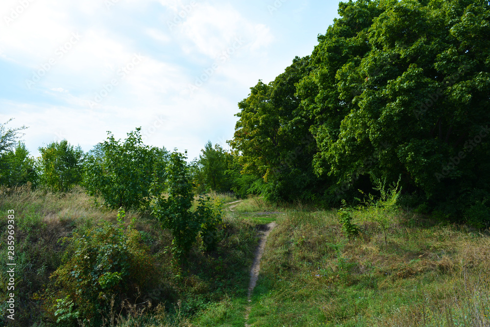 Beautiful natural background with an unusual landscape and forest beauty near the Samara River. Green hills, trees, shrubs with bright sky in the Shevchenko housing estate, Dnipro city, Ukraine. Beautiful natural background with an unusual landscape and forest beauty near the Samara River. Green hills, trees, shrubs with bright sky in the Shevchenko housing estate, Dnipro city, Ukraine.