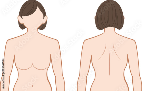 上半身　女性