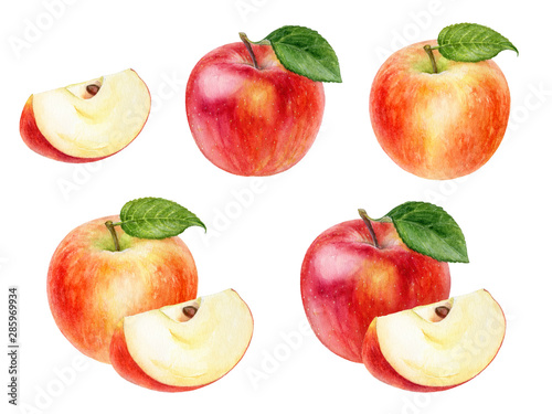 Apple set watercolor illustration isolated on white background photo