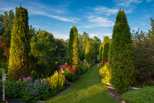 Beautiful flowers and trees...