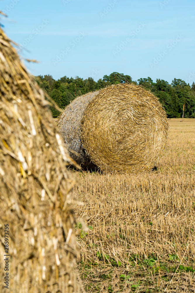 haystack on a village field on a sunny day haystack on a village field on a sunny day