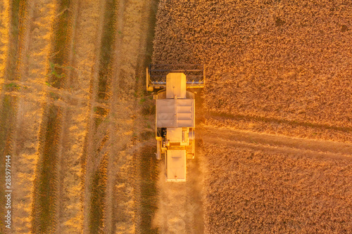 Birdseye aerial shot of a Combine Harvester harvesting a wheat field at Sunset in the UK