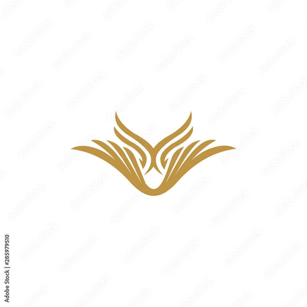 bird feathers logo template bird feathers logo template