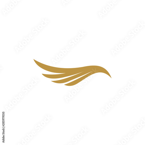 bird feathers logo template