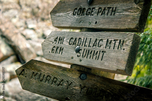 Wooden signpost in Acadia National Park