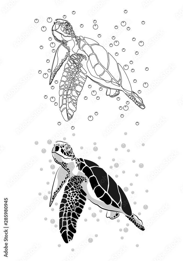 graphic sea turtle,vector illustration of sea turtle Stock Vector ...