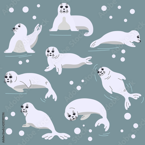 Set of seal pups in different poses. Vector illustration with seal animals and snowaflakes in a flat style. Isolated design elements on neutral background.
