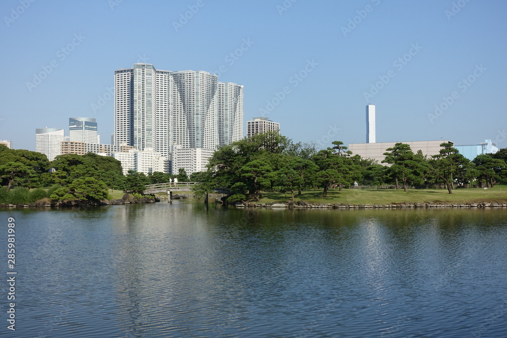 view of Tokyo city capital of Japan