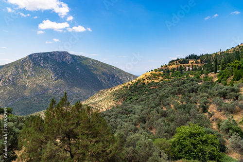 Scenic view to mountain landscape with olive trees in Greece, valley of Phosis and Parnassus mountain near Delphi