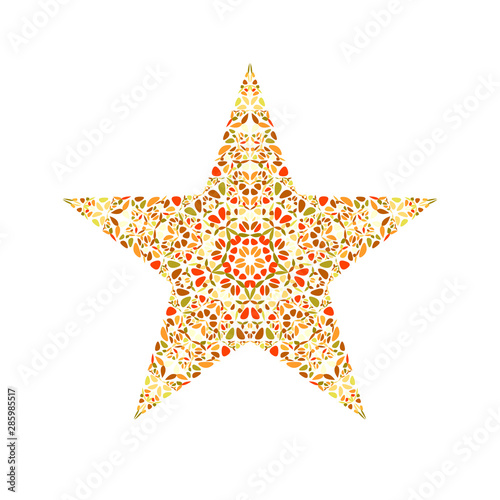 Floral ornament star symbol template - colorful geometrical ornamental vector design element