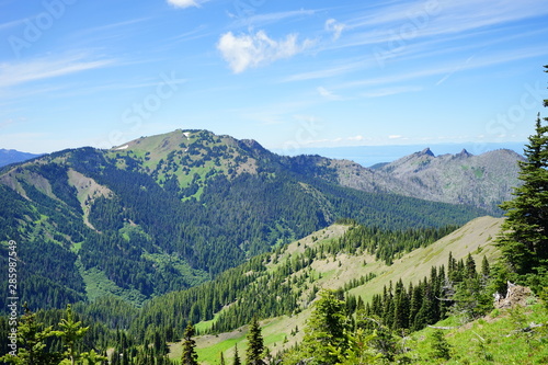 Beautiful mountains in Olympic National Park in summer in Washington, near Seattle © Feng