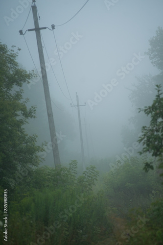 power lines and wires in the early foggy morning