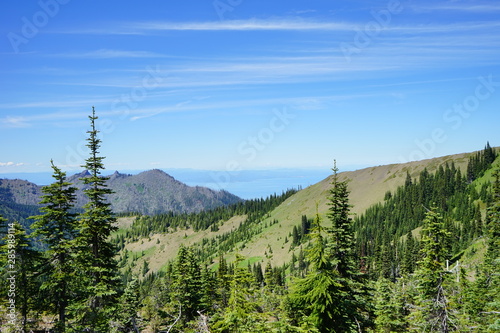 Beautiful mountains in Olympic National Park in summer in Washington, near Seattle