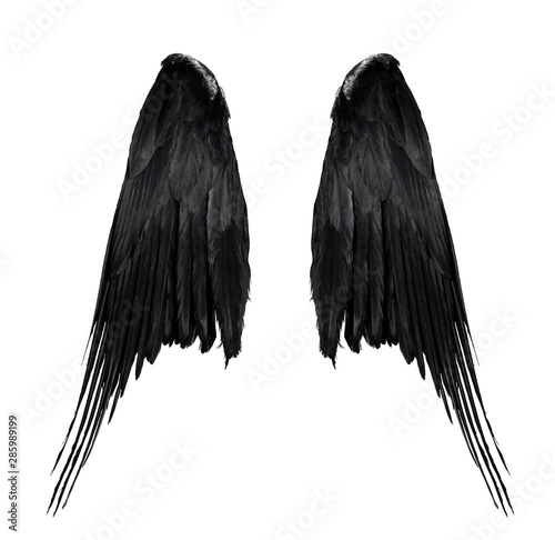 two big black raven wings with big feathers isolated on white background