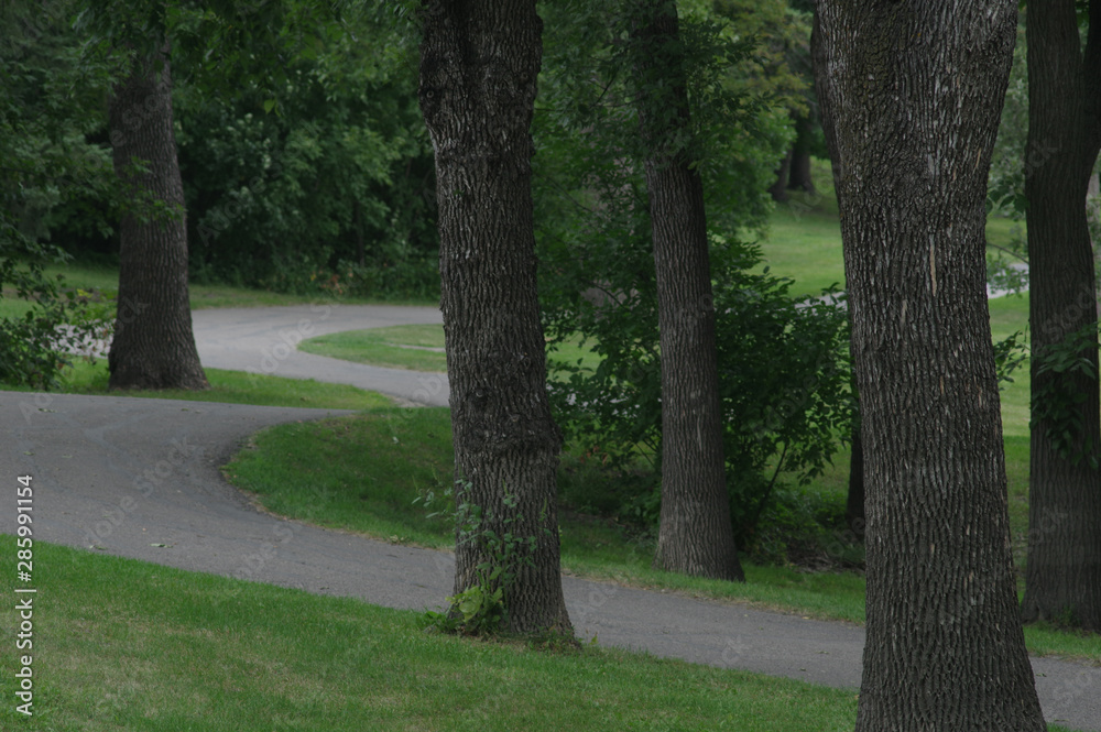 path in park path in park
