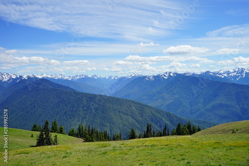 Olympic National Park in summer in Washington, near Seattle © Feng