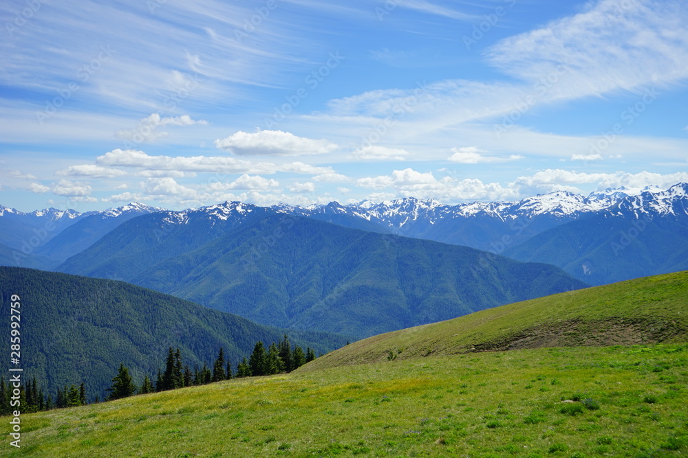Beautiful mountains in Olympic National Park in summer in Washington, near Seattle