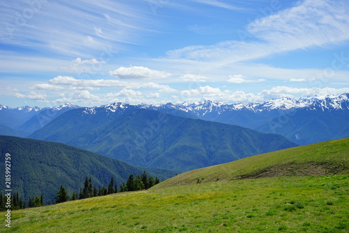 Beautiful mountains in Olympic National Park in summer in Washington, near Seattle © Feng