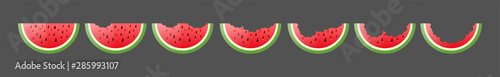 Flat ripe watermelon pieces set