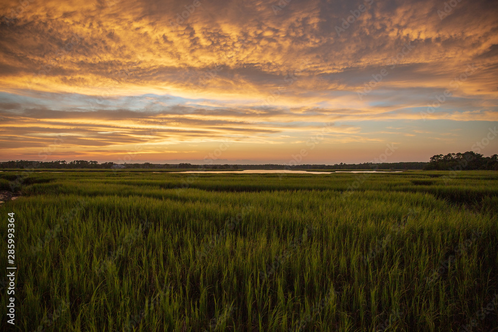 sunset over marsh