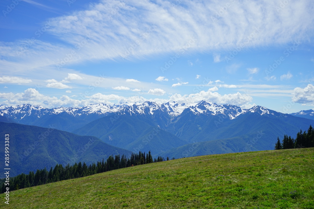 Fototapeta premium Olympic National Park in summer in Washington, near Seattle