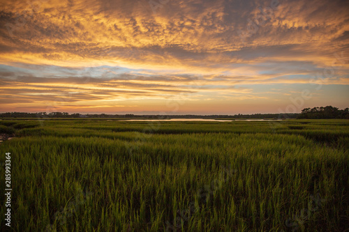 sunset over marsh