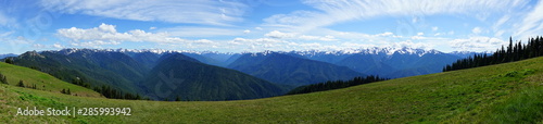 Beautiful snow capped mountains in Olympic National Park in summer in Washington  near Seattle 