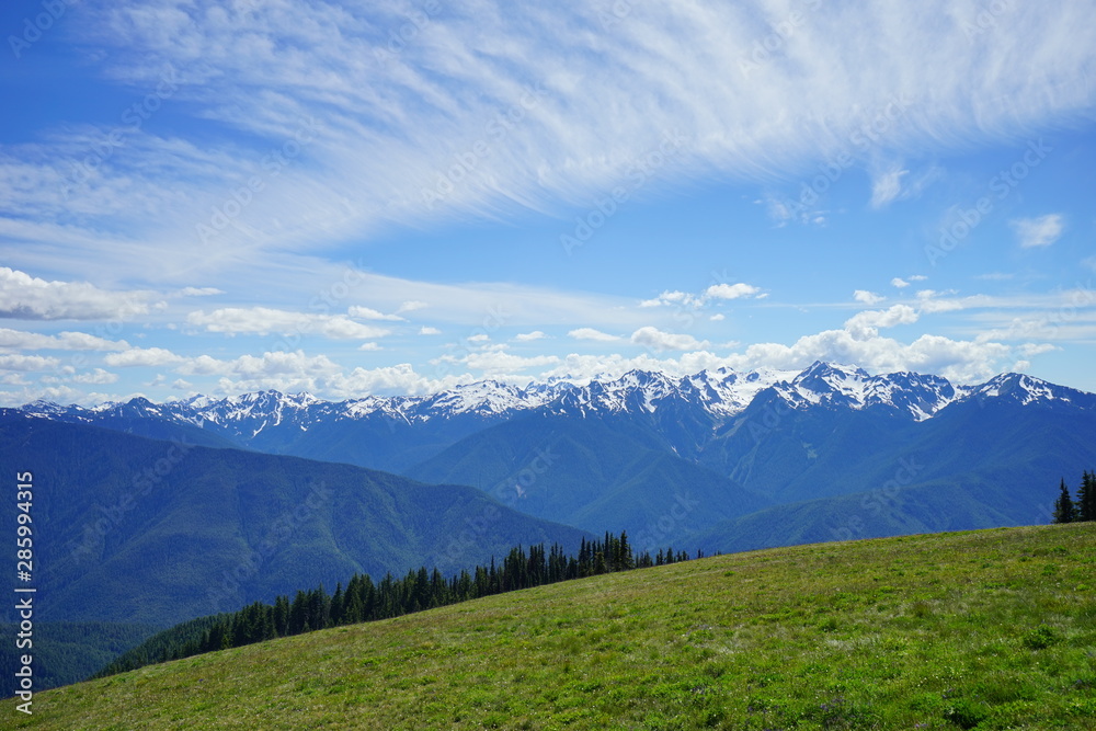 Fototapeta premium Beautiful snow capped mountains in Olympic National Park 