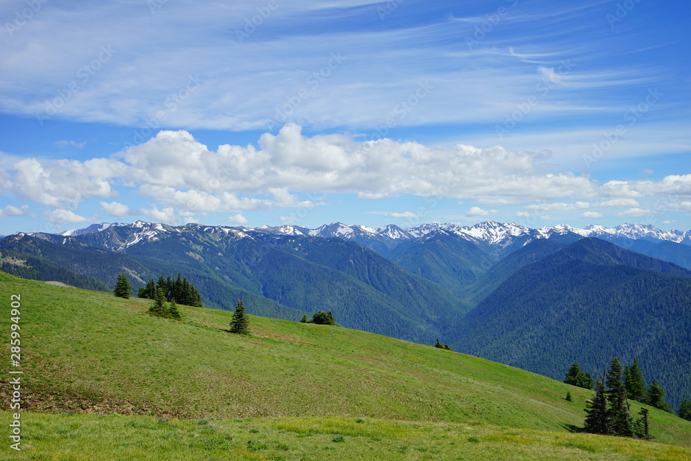Beautiful snow capped mountains in Olympic National Park in summer in Washington, near Seattle Beautiful snow capped mountains in Olympic National Park in summer in Washington, near Seattle