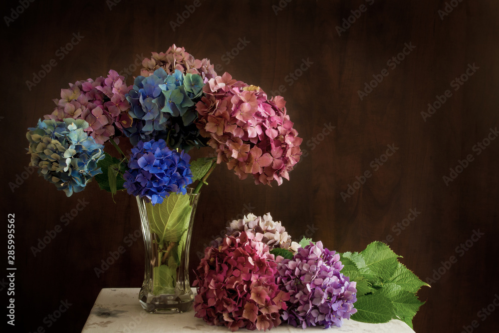 Beautiful hydrangea flowers in multiple colors arranged in a vase on a table; Bright pink, purple and blue bunches of flowers Beautiful hydrangea flowers in multiple colors arranged in a vase on a table; Bright pink, purple and blue bunches of flowers