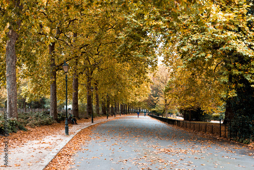 Piles of fallen leaves in one of the alleys of Battersea park in autumn, London