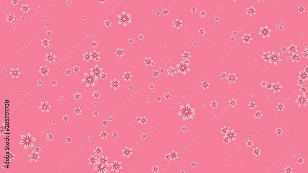 Many flowers falling down on pink background. Abstract floral video animation Many flowers falling down on pink background. Abstract floral video animation