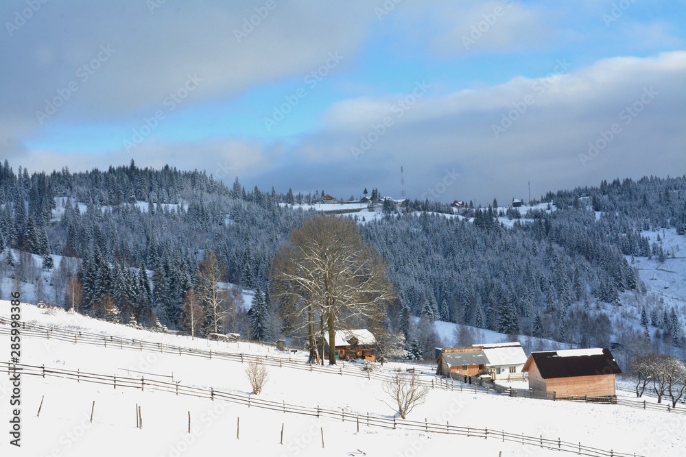 winter landscape in the Mestecanis village Suceava