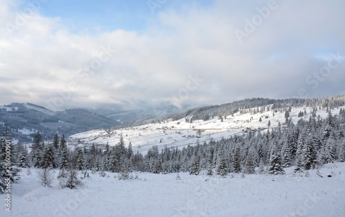 winter landscape from Bucovina - Romania © sebi_2569