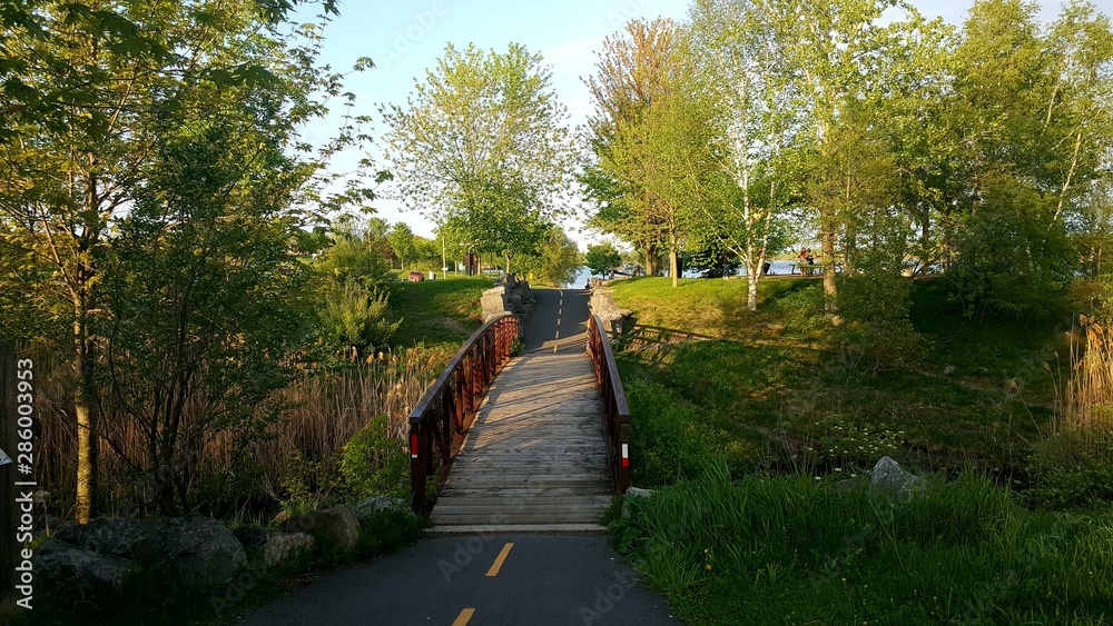 bridge in the park