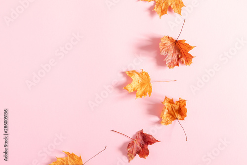 Autumn creative composition. Beautiful dried leaves on pastel pink background. Fall concept. Autumn background. Flat lay, top view, copy space