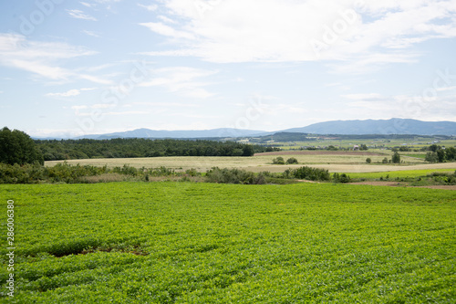 夏の北海道沼田町の風景