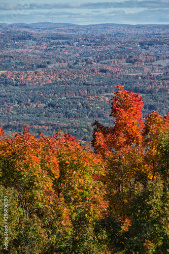 Autumn Panorama with Foreground Maple Trees photo