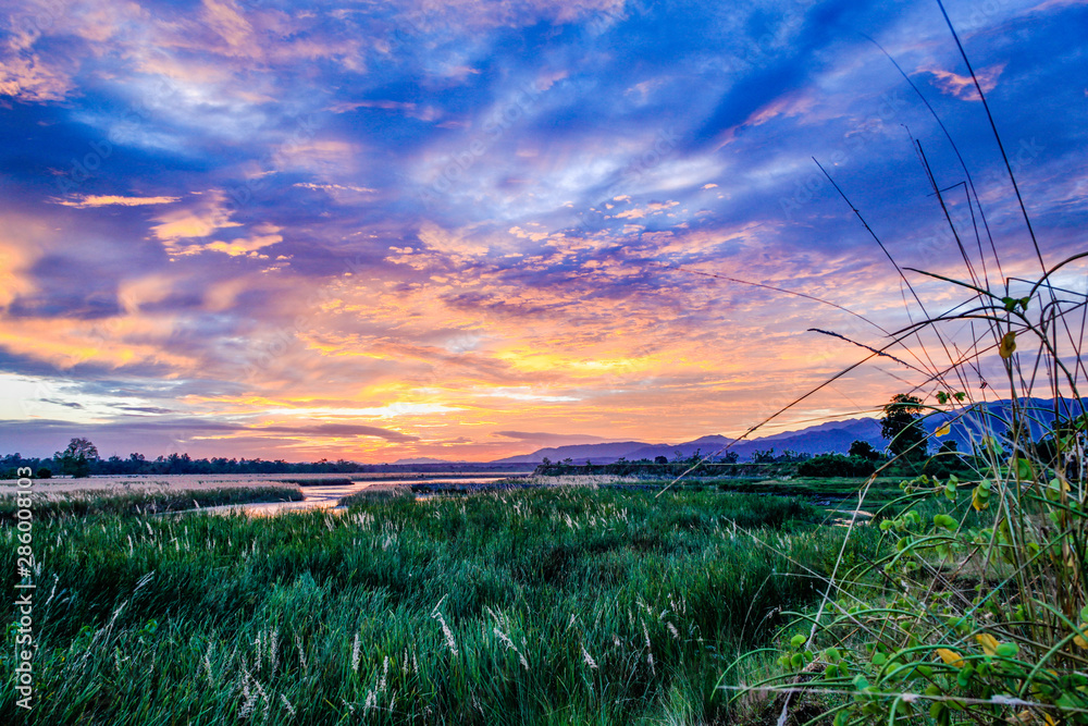 Bright pink and blue sunset with thick tall grass and a flat lazy river Bright pink and blue sunset with thick tall grass and a flat lazy river
