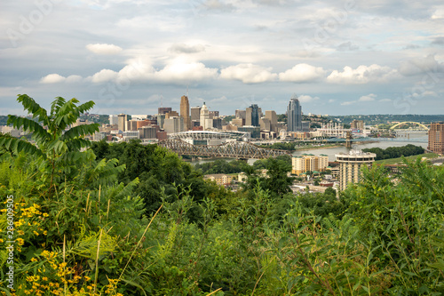 Skyline Over Cincinnati with Greenery in the Foreground