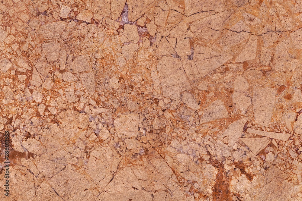 Surface of a brown dolomitic limestone breccia.