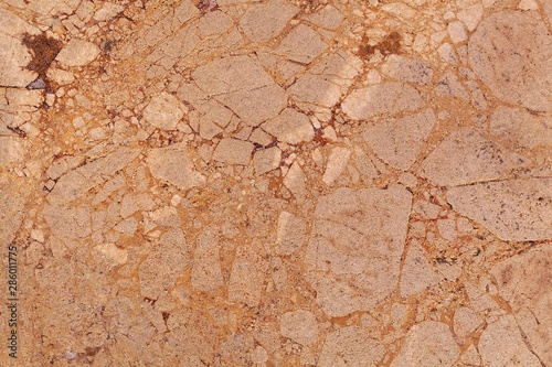 Surface of a brown dolomitic limestone breccia.