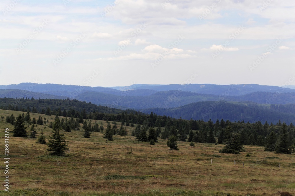 Landscape in the Higher Vosges Mountains in France.
