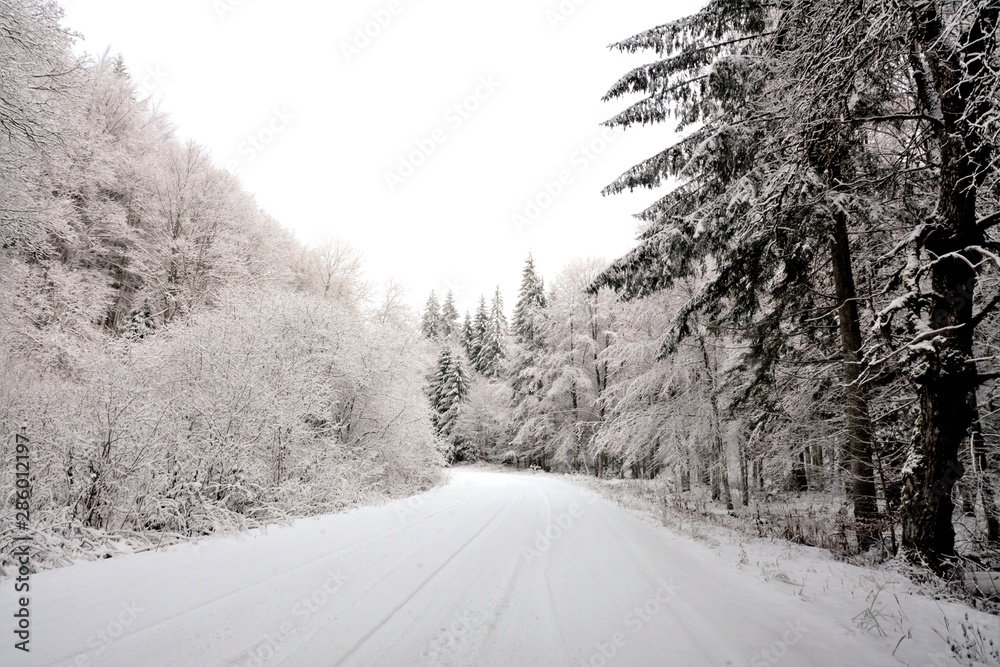 Obraz premium a road through the woods in winter