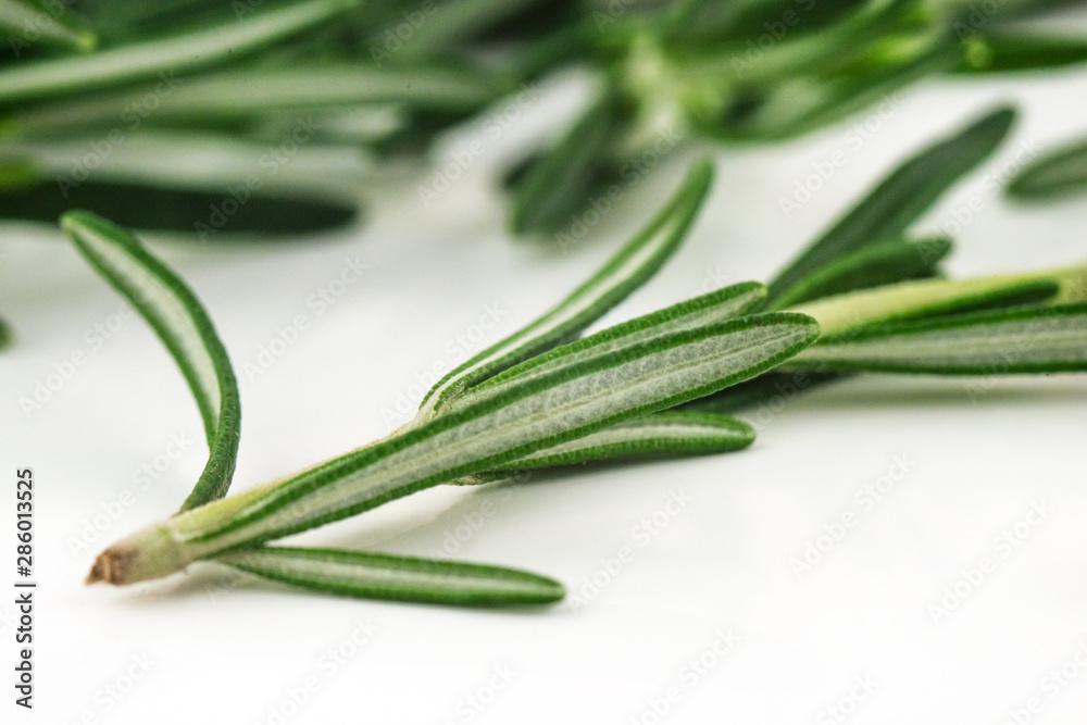 Fototapeta premium Rosemary herb spicy food isolated on white background