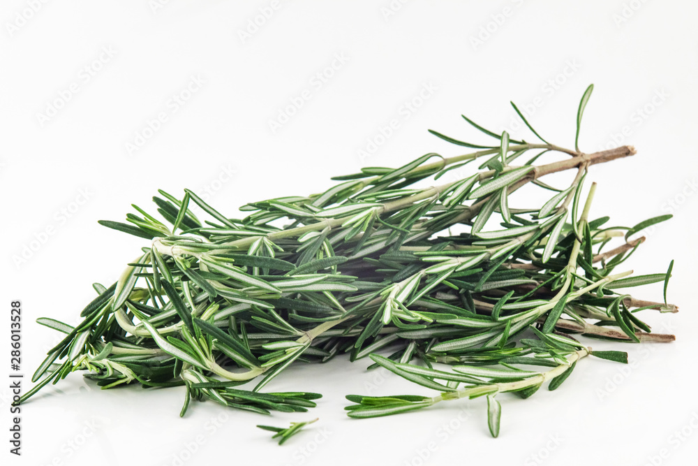 Rosemary herb spicy food isolated on white background Rosemary herb spicy food isolated on white background