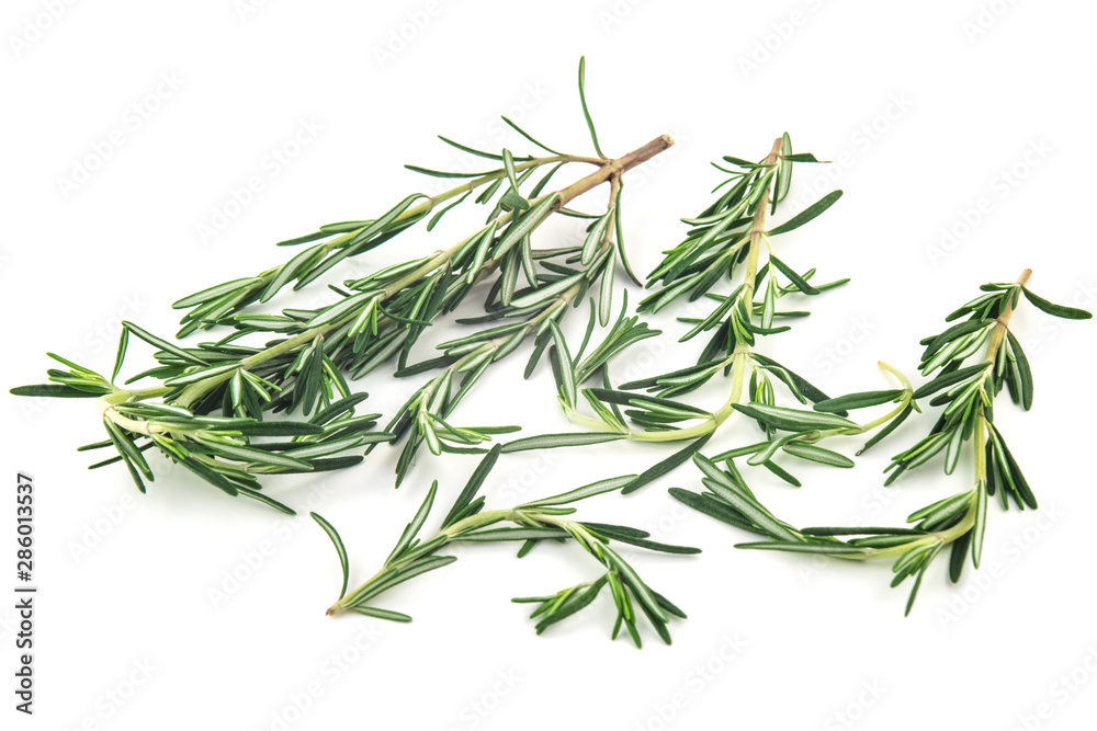 Fototapeta premium Rosemary herb spicy food isolated on white background