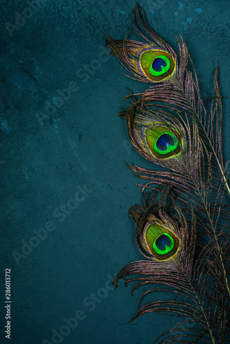 Bright multicolored peacock feathers on dark background. Symbol of Krishna in hinduism religion